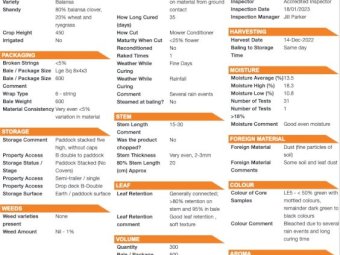 23' Season Balansa Clover 8x4x3 Bales