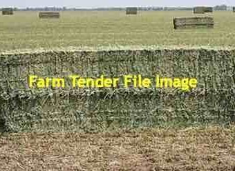 Clover - clover rye grass hay