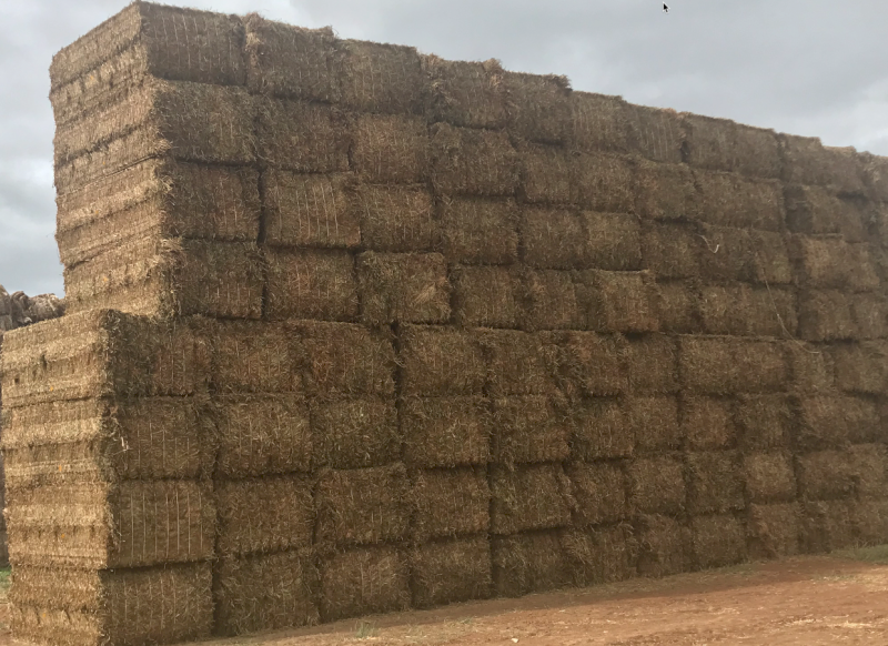 100mt Vetch Hay 650-700kg 8x4x3 Bale (23/24 Season)