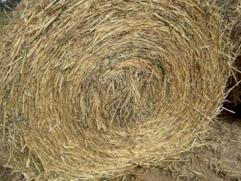 2023 Season Oaten Hay