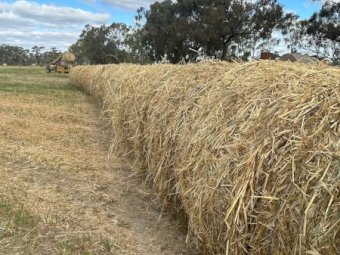 2023 Season Oaten Hay