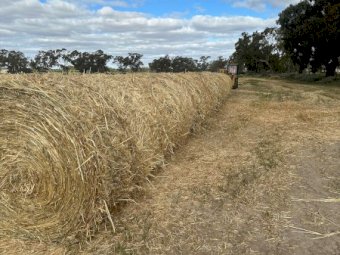 2023 Season Oaten Hay