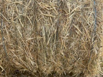 2023 Season Oaten Hay