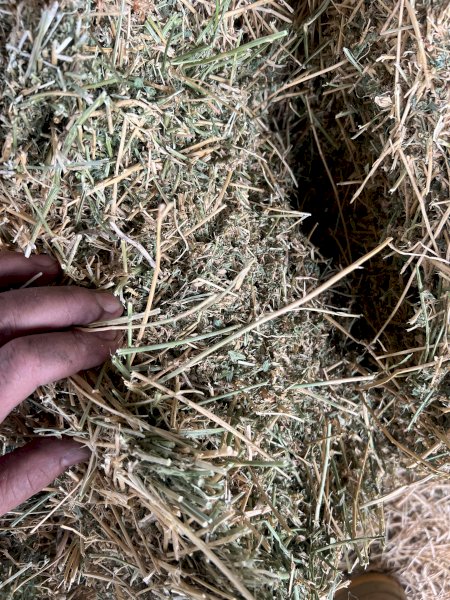 630 Small Square Bales of 2nd Cut Lucerne Hay | Farm Tender