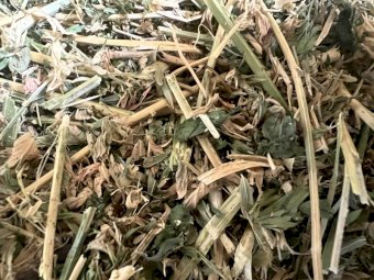 630 Small Square Bales of 2nd Cut Lucerne Hay