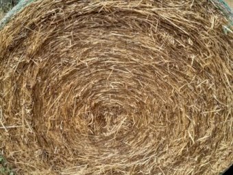 22/23 Season Oaten Vetch and Rye Grass Hay