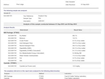35MT Sorghum Hay 8X4X3 Large Square Bales