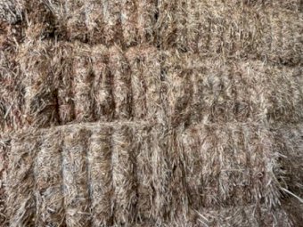 35MT Sorghum Hay 8X4X3 Large Square Bales