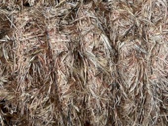 35MT Sorghum Hay 8X4X3 Large Square Bales