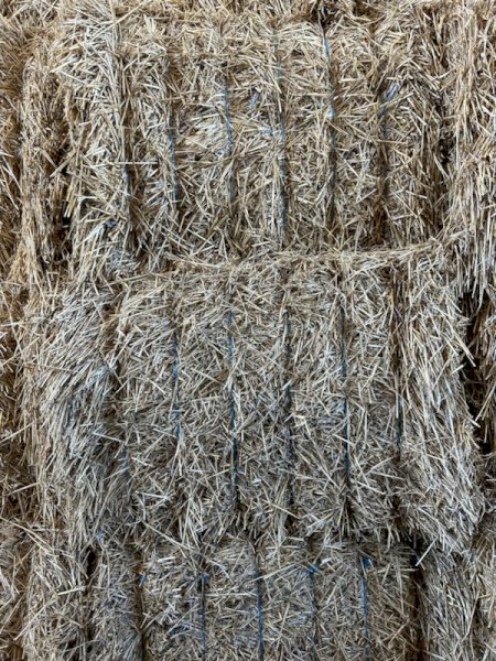 54MT Wheaten Straw 8X4X3 Large Square Bales