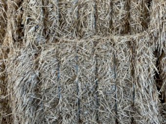 54MT Wheaten Straw 8X4X3 Large Square Bales