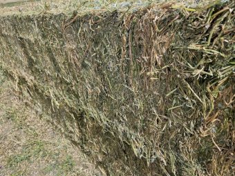 Vetch Hay 23/24 Season