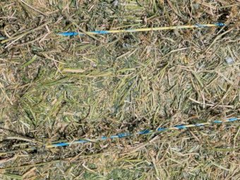 Vetch Hay 23/24 Season