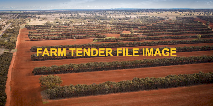 WANTED Landowners Interested In Plantation Carbon Projects