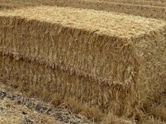 New Season Header Trail Barley Straw