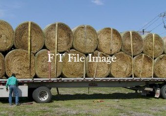 200mt Vetch Hay 5x4 bales