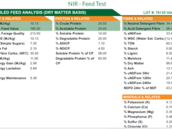 275mt Vetch Hay 650kg 8x4x3 Bales