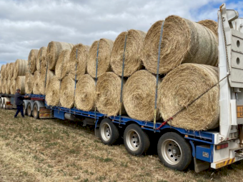 150 x Wheaten Pasture Hay 5x4 Rolls