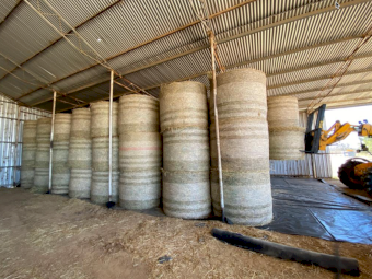 150 x Wheaten Pasture Hay 5x4 Rolls