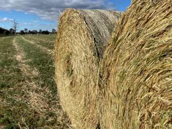 60 x Oaten Lucerne and Pasture Hay 5x4 Rolls