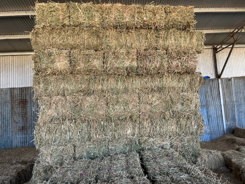 340 X Lucerne Hay Small Square Bales (23/24 Season)