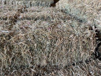 340 X Lucerne Hay Small Square Bales (23/24 Season)