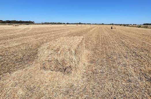 110mt Oaten Rye Hay 550-600kg 8x4x3 Bales