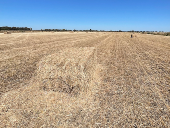 25mt Oaten Rye Hay 550-600kg 8x4x3 Bales