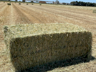 185mt Wheaten Hay 500-550kg 8x4x3 Bales