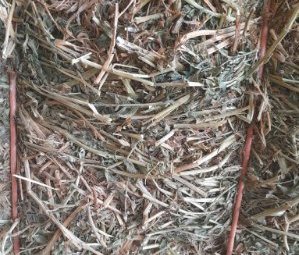 Vetch Hay (23/24 Season)