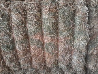Vetch Hay (23/24 Season)