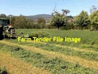 80mt Lucerne Hay 600kg 8x4x3 Bales