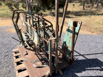 Moffat Virtue Roll over sheep handler