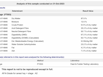 2023 Season Wheaten Hay