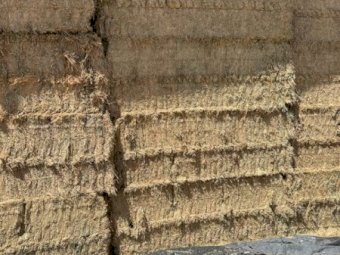 360MT Vetch Hay 8X4X3 Bales