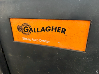 Gallagher Sheep Auto Drafter
