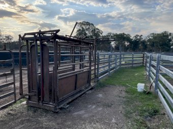 "" Price slashed"" Cattle yards for Removal