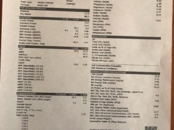 160mt Popany Vetch Hay 620kg 8x4x3 Bales