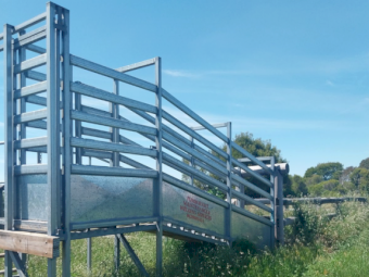 Cattle Loading Ramp