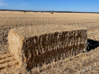 400mt Wheaten Straw 530kg 8x4x3 Bales