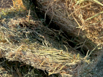 80mt Oaten Hay 600-650kg 8x4x3 Bales