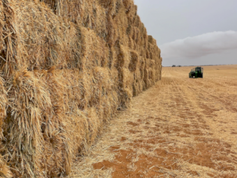 80mt Oaten Hay 600-650kg 8x4x3 Bales