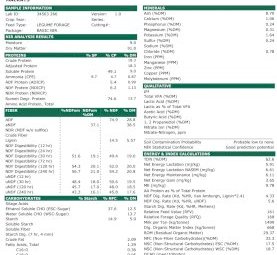 360MT Vetch Hay 8X4X3 Bales