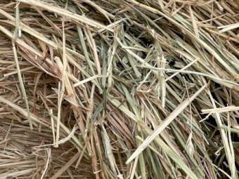 100 mt Barley Hay Rolls  (23/24 season)