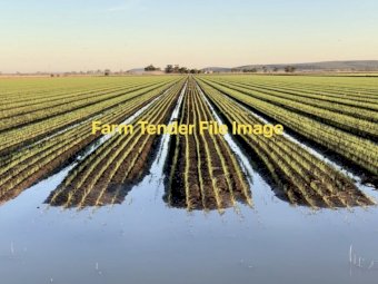 1150 Acre Irrigation Farm for Lease
