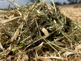 170mt Balansa Clover Hay 500-550kg 8x4x3 Bales