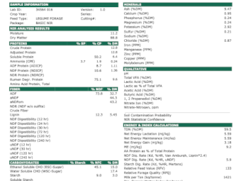 170mt Balansa Clover Hay 500-550kg 8x4x3 Bales