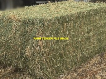 150mt Barley Rye Hay 8x4x3 Bales
