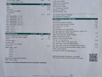 200 X Vetch Hay 5X4 Round Bales