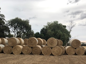 500 x Clover Rye Hay 5x4 Rolls